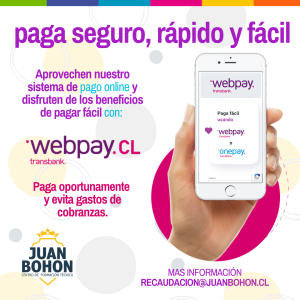 pago webpay